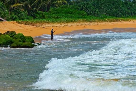 Sun Sand and Surf Tours