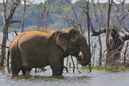 Explore Sri Lanka